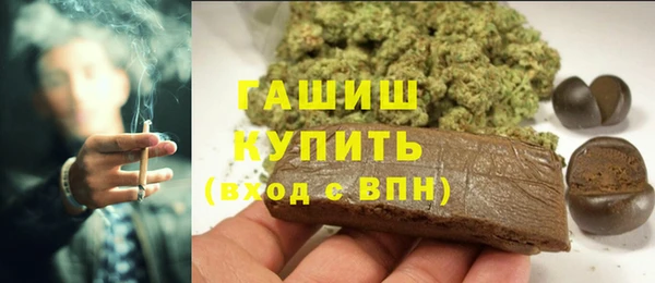 ГАЛЛЮЦИНОГЕННЫЕ ГРИБЫ Ельня