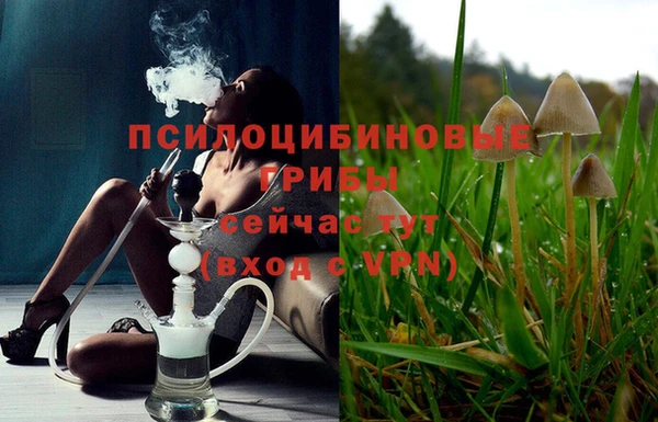 MDMA Медвежьегорск
