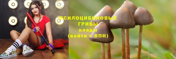 гашишное масло Медногорск