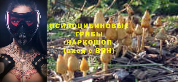 MDMA Медвежьегорск