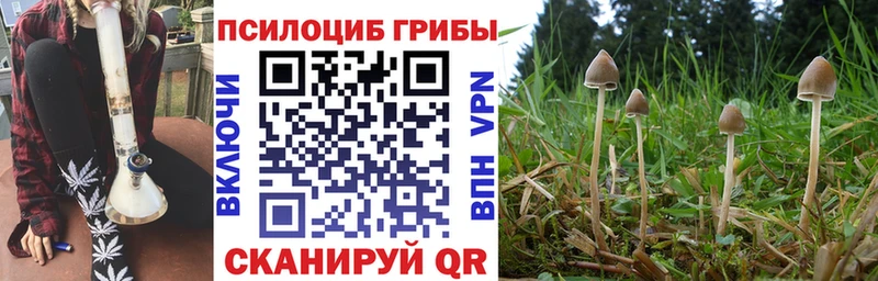 Галлюциногенные грибы Cubensis  ссылка на мегу онион  Кяхта 